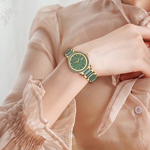 Diella Women s Automatic Mechanical Watches Luxury Ladies Dress Watch Waterproof with Sapphire Glass Mirror (Model: AD6001L)