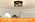 Feanron Farmhouse 2-Light Black Flush Mount Ceiling Light Fixtures, Industrial Vintage Metal Cage Closed to Ceiling Mount Lamp for Hallway Kitchen Bedroom 2 Pack, A19 LED Bulbs Included